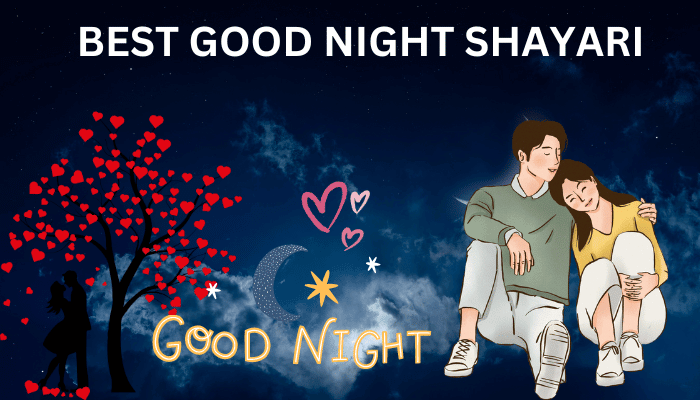 Best Good Night Shayari in Hindi