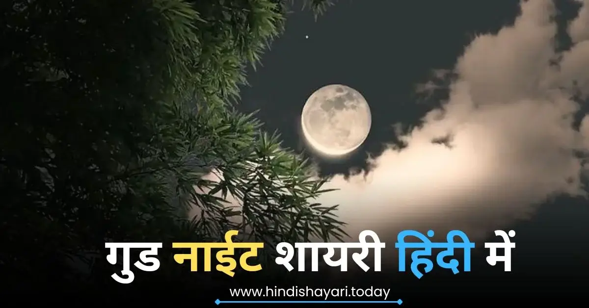 Good Night Hindi Shayari